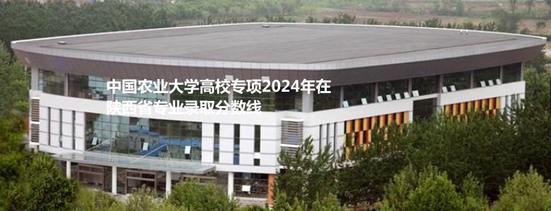 中国农业大学高校专项2024陕西省专业录取分数线