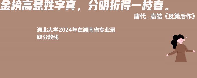 湖北大学2024年在湖南省专业录取分数线