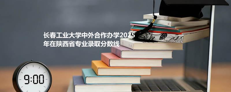 长春工业大学中外合作办学2025年在陕西省专业最低分汇总 哪个专业最好考？