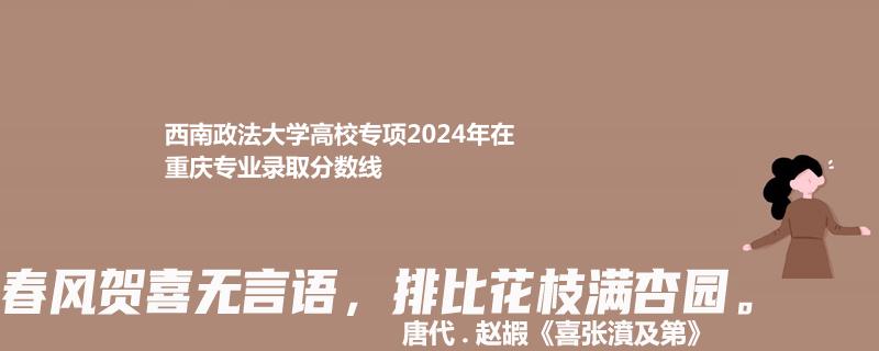 西南政法大学高校专项2024重庆各专业录取最低分数及位次参考