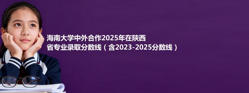海南大学中外合作2025年在陕西省专业录取分数线（含2023-2025分数线）
