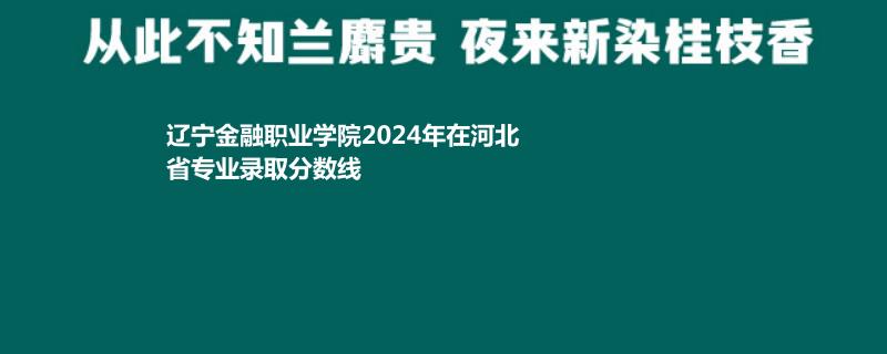 辽宁金融职业学院2024年在河北省专业录取分数线