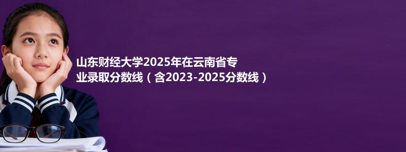 山东财经大学2025年在云南专业录取分数线(含2023-2025历年)