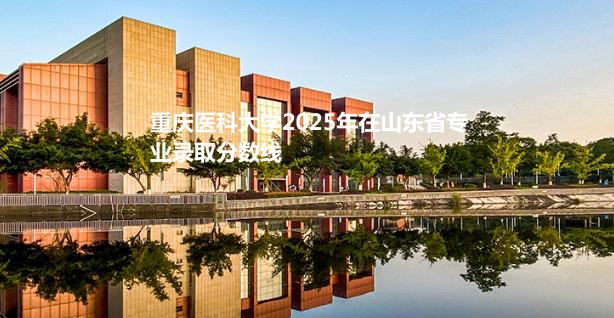 重庆医科大学2025年在山东省录取分数线
