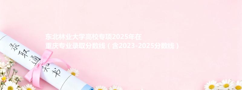 东北林业大学高校专项2025年在重庆分数线和最低位次(含2023-2025历年)