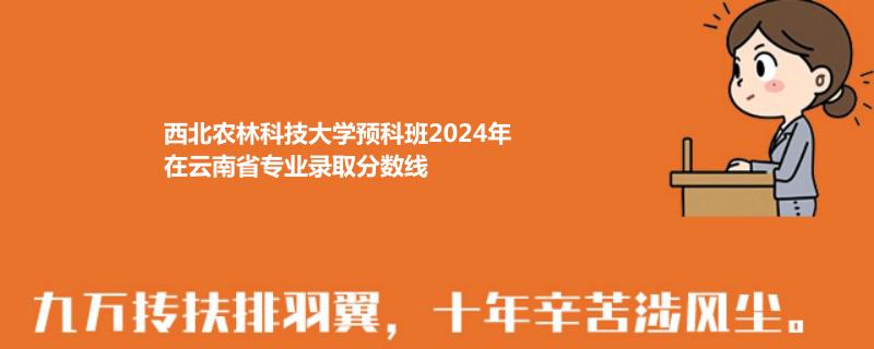 西北农林科技大学预科班2024年在云南省专业录取分数线