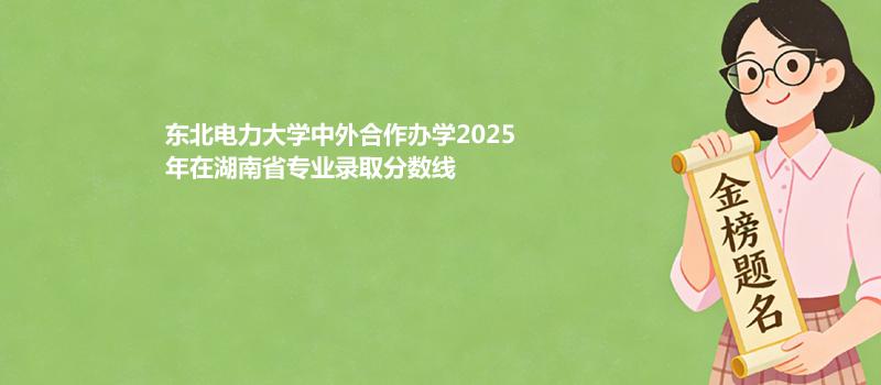 东北电力大学中外合作办学2025在湖南专业录取最低分汇总 2026参考
