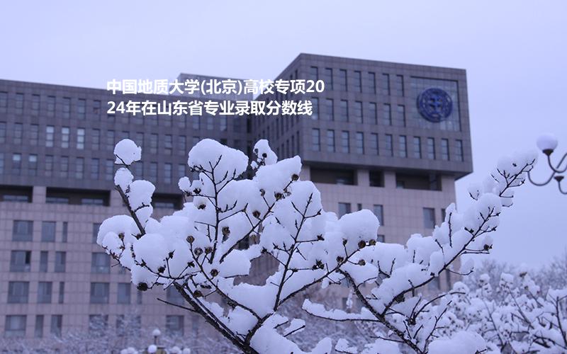 中国地质大学(北京)高校专项2024高考山东省专业录取分数线